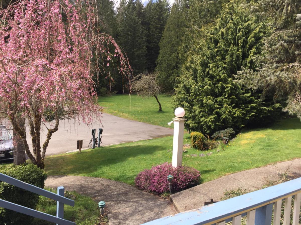 Alexander'S Lodge Ashford Dış mekan fotoğraf